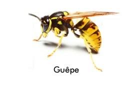 Réalisation Thourotte