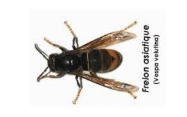 Réalisation Thourotte