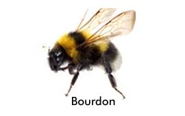 Réalisation Thourotte