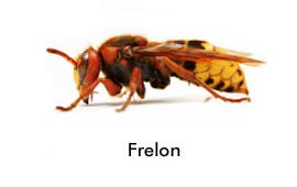 Réalisation Thourotte